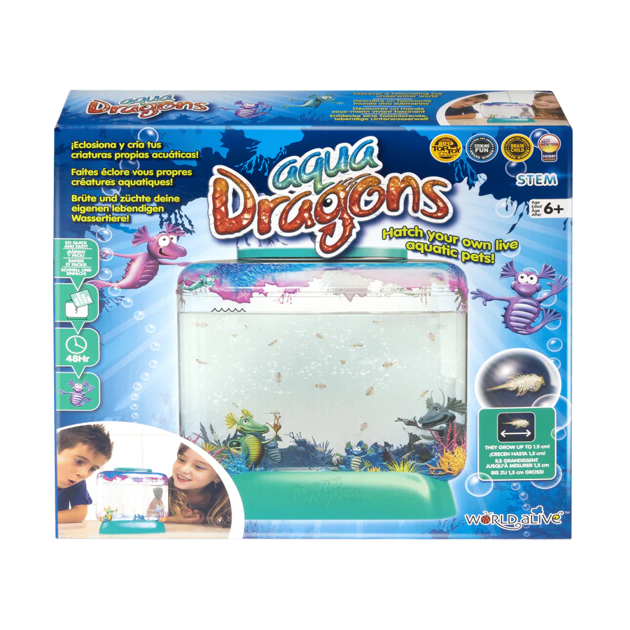 Aqua Dragons Underwater World